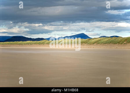 Morfa Harlech is an extensive sand dune systems near Harlech in North Wales. It is National Nature Reserve within the Snowdonia National Park. Stock Photo