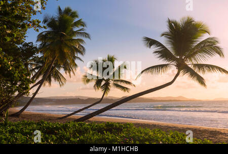 The Caribbean beach , Martinique island. Stock Photo
