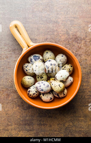 Fresh guail eggs in bowl. Stock Photo