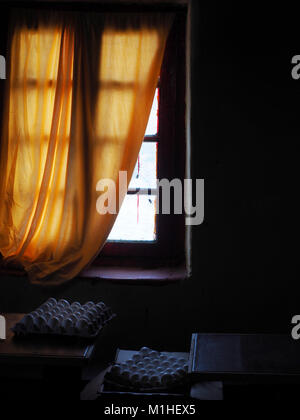 Dark room with a bright orange curtain on the window, a window frame is visible through the curtain, cells with chicken eggs stand near the window. Stock Photo