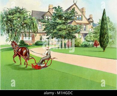 Color illustration depicting a man wearing a hat while riding on a horse-drawn lawn mower, and mowing a wide, green lawn, in front of President Roosevelt's house, 'Sagamore Hill, ' a three-story mansion that is obscured by several trees and hedges, from the volume 'Everything for the Garden: 1906, ' authored by Peter Henderson and Co, from the Henry G. Gilbert Nursery and Seed Trade Catalog Collection, 1906. () Stock Photo