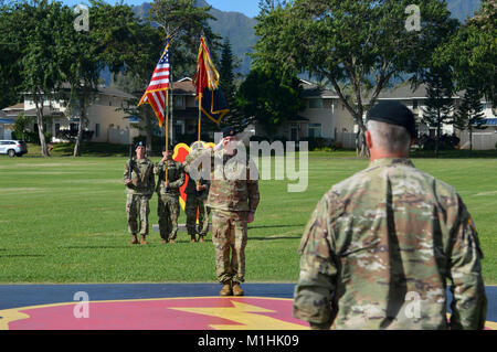 Command Sgt. Maj. Michael J. Spear, incoming senior enlisted advisory, 3rd Brigade Combat Team, “Broncos,” 25th Infantry Division, salutes Col. Robert Ryan, commander, 3rd BCT, 25th ID, at the end of the change of responsibility ceremony at Schofield Barracks, Hawaii, on Jan. 5, 2018. Spear assumed responsibility of the brigade from Command Sgt. Maj. Alan E. Michaud.  (U.S. Army Stock Photo