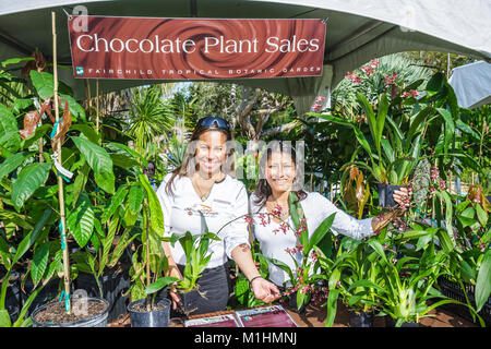 Miami Florida,Coral Gables,Fairchild Tropical Botanic Garden,plants,flora,collection,International Chocolate Festival,festivals fair,fair,Hispanic wom Stock Photo