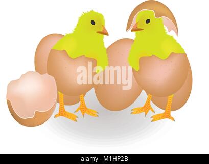 Two chickens coming from eggshell, vector Stock Vector