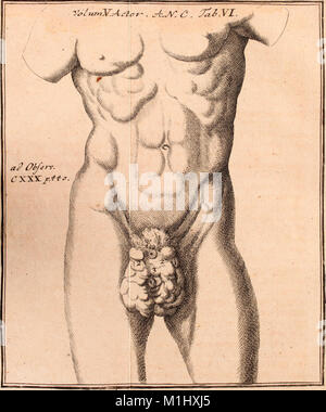 Acta physico-medica Academia Caesareae Leopoldino-Carolinae Naturae Curiosorum (1740) (14750008036) Stock Photo
