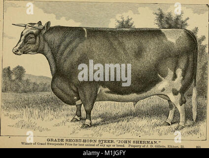 American farming and stock raising, with useful facts for the household, devoted to farming in all its departments (1892) (14595561060) Stock Photo