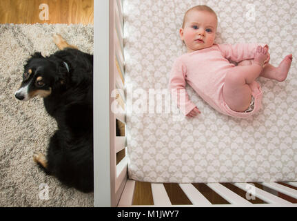 High Angle View of Baby Laying in Crib with Dog Laying Nearby on Floor Stock Photo