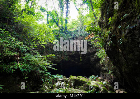 Entrance to an unknown cave in the wild parts of the earth. Stock Photo