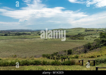 Wooden pole barrier fenced walkway , green vegetation and sugar cane plantations against distant Durban blue cloudy  skyline at Mount Moreland Stock Photo