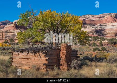 Kirk's Cabin, built as a seasonal shelter by a rancher, with adzed logs and a sandstone chimney, in Salt Creek Canyon in The Needles District of Canyo Stock Photo