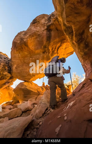 Hiker climbing a route through a sandstone fin within Salt Creek Canyon in The Needles District of Canyonlands National Park, Utah, USA Stock Photo