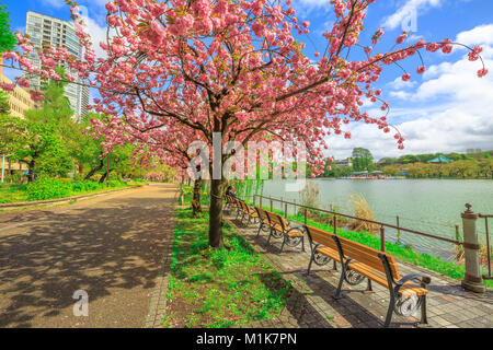 Ueno Park is most popular public relax green space lake with