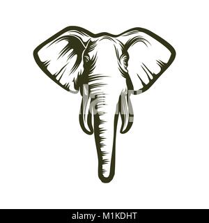 Head of elephant on white background, vector illustration Stock Vector