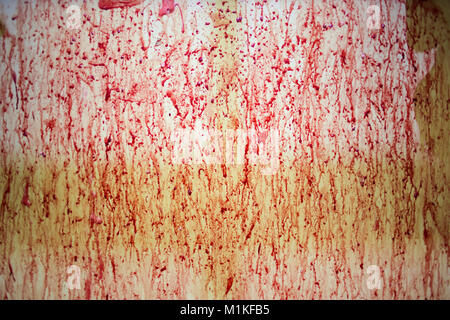 Bloody background blood spatter pattern for evidence or Halloween theme