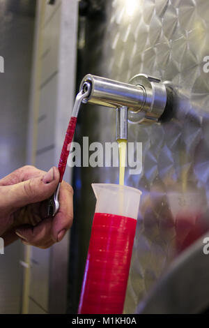 Close up view of a hydrometer used while testing the sugar in wine Stock Photo
