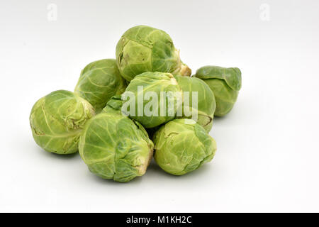 Delicious green Brussel sprouts arranged on a seamless white background. Stock Photo