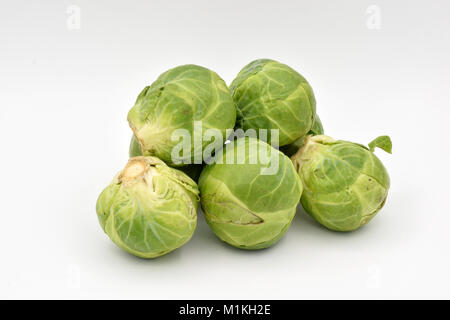 Delicious green Brussel sprouts arranged on a seamless white background. Stock Photo