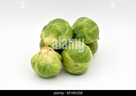 Delicious green Brussel sprouts arranged on a seamless white background. Stock Photo