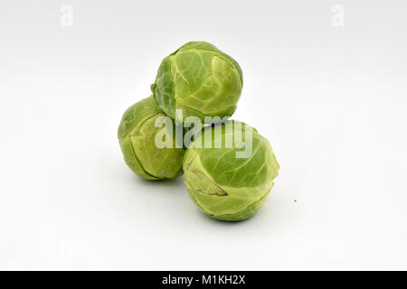 Delicious green Brussel sprouts arranged on a seamless white background. Stock Photo