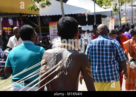 George Town, Malaysia. 31st Jan, 2018. Thaipusam 2018 in Penang, Devotes day with piercings and decorations Credit: MIchael Crawford-Hick/Alamy Live News Stock Photo