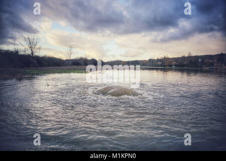 Sandrine Huet / Le Pictorium -  The Seine river flood, January 2018 -  26/01/2018  -  France / Ile-de-France (region) / Soisy Sur Seine  -  Village of Soisy sur Seine, Essonne. The river water rose from January 25th to 29th 2018. Many houses had to be evacuated due to the flooding.The River Seine reached its highest point at the station of Corbeil Essonne in the night of Sunday 28th and Monday 29th January 2018, with a crest of 4.56m, a little lower than the last flood in June 2016 Stock Photo