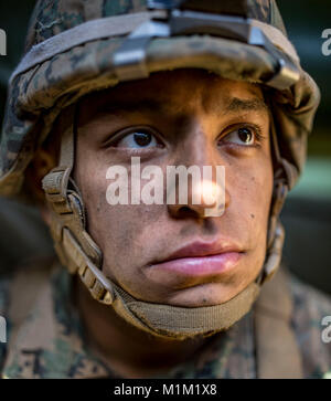 MARINE CORPS BASE CAMP PENDLETON, Calif. – U.S. Marine Corps Pfc. Juan Rodriguez, a Rifleman with Alpha Company, 1st Battalion, 4th Marines, waits inside of an Amphibious Assault Vehicle during exercise Iron Fist 2018, Jan. 26. Iron Fist is a five-week-long exercise focusing on advanced marksmanship, amphibious reconnaissance, fire and maneuver assaults, staff planning, logistical support, medical knowledge sharing, fire support operations, including mortars, artillery and close air support, and amphibious landing operations. (U.S. Marine Corps Stock Photo