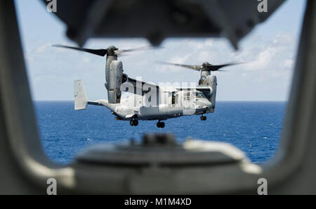 170712-N-GC965-0009 PACIFIC OCEAN (July 12, 2017) An MV-22 Osprey assigned to the “Greyhawks” of Marine Medium Tiltrotor Squadron (reinforced) (VMM) 161 prepares to land on the flight deck of the amphibious assault ship USS America (LHA 6) during routine flight operations. America is currently embarked on its maiden deployment and is part of the America Amphibious Ready Group comprised of more than 1,800 Sailors and 2,600 Marines assigned to the amphibious dock landing ship USS Pearl Harbor (LSD 52), the amphibious transport dock ship USS San Diego (LPD 22) and America. (U.S. Navy photo by Mas Stock Photo