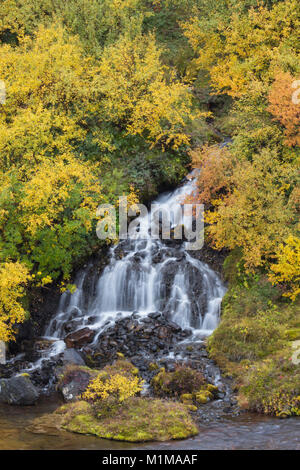 Hraunfossar waterfall in west Iceland Stock Photo