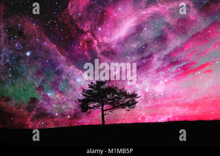 red alien landscape with alone tree silhouette over the night sky with many stars - elements of this image are furnished by NASA Stock Photo