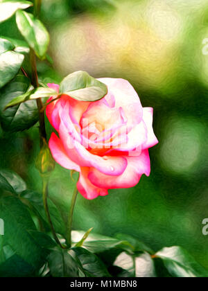 Pink rose and green garden modern oil paint style Stock Photo
