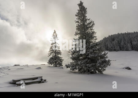 Beautiful winter landscape on Rusinowa Glade. Tatra mountains. Stock Photo
