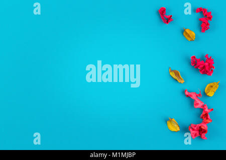 Pink and yellow dried flower plants border frame on blue background. Top view, flat lay Stock Photo