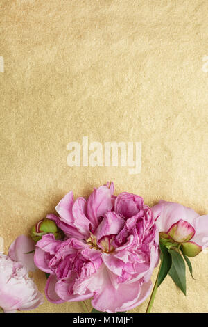 Pink peonies on golden surface Stock Photo