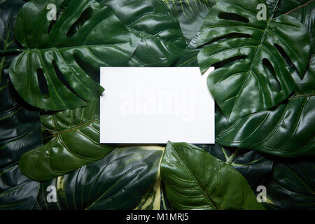 Tropical green leaves composition. Nature background concept. Copy space. Stock Photo