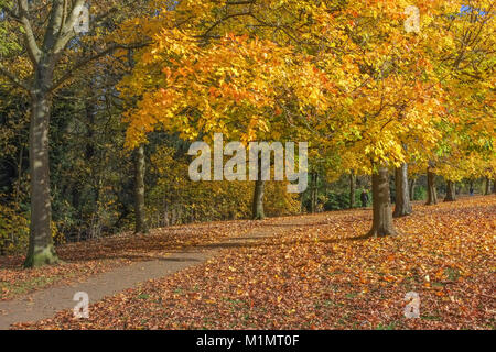 Autumn scene in Abington park Northampton Stock Photo