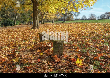Autumn scene in Abington park Northampton Stock Photo