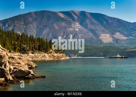 Selkirk Mountains covered with forest of dead pine trees, attacked by mountain pine beetles, Upper Arrow Lake, West Kootenay, British Columbia, Canada Stock Photo