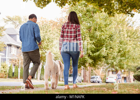 Rear View Of Couple Walking Dog Along Suburban Street Stock Photo