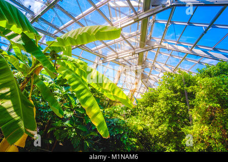 modern greenhouse interior glass building inside design Stock Photo