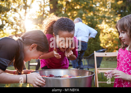 Three young girls apple bobbing at a backyard party Stock Photo