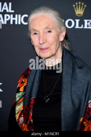 Dr. Jane Goodall attending the National Geographic 'an Evening of