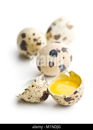 Fresh guail eggs isolated on white background. Stock Photo
