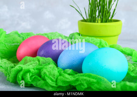Colored Easter eggs on a green gauze on a gray concrete background Stock Photo