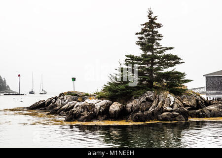 Christmas Cove   South Bristol, Maine, USA Stock Photo