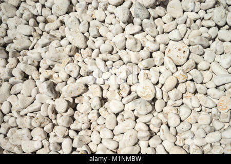 Small naturally polished white rock pebbles background Stock Photo