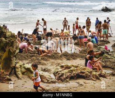 On a small stretch of beach on the Coromandel Peninsula near Auckland, hot thermal water comes to the surface - to the delight of hundreds of thousands of tourists every year. (08 February 2016) | usage worldwide Stock Photo