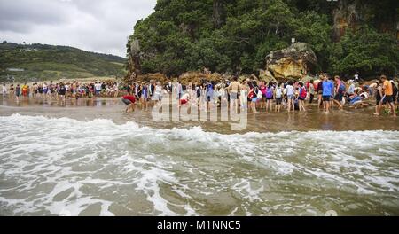 On a small stretch of beach on the Coromandel Peninsula near Auckland, hot thermal water comes to the surface - to the delight of hundreds of thousands of tourists every year. (08 February 2016) | usage worldwide Stock Photo