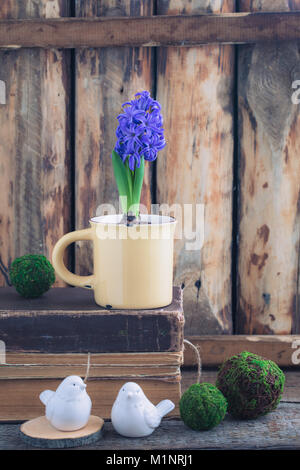 Blue or vioet spring hyacinth in the cup and old books over the wooden background. Easter postcard concept. Toned. Stock Photo