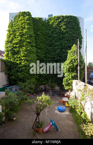 Germany, Cologne, ivy growing on a wall of a building, habitat of many birds and bats.  Deutschland, Koeln, mit Efeu ueberwucherte Wand eines Gebaeude Stock Photo