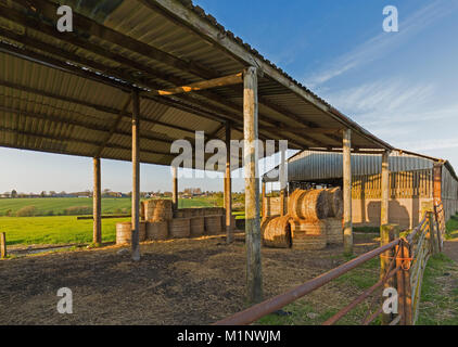 Evening sun catching the hay bales in a open sided barn. Stock Photo